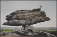 /album/outras-artes-/img-8466-jpg/